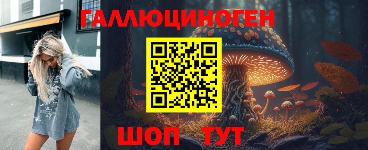Псилоцибиновые грибы Psilocybine cubensis Мурманск