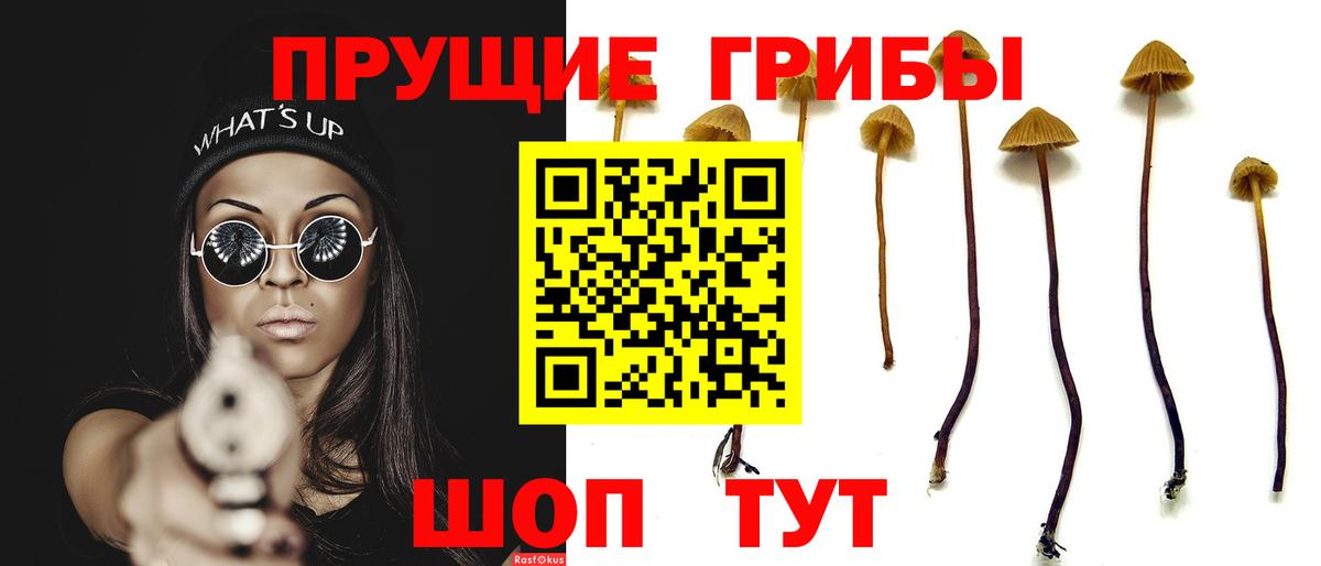 закладка  Вход с VPN  Мурманск  Псилоцибиновые грибы ЛСД 